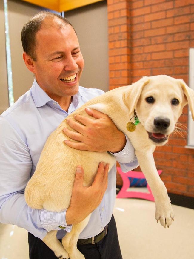 Treasurer Josh Frydenberg really likes cuddly dogs.