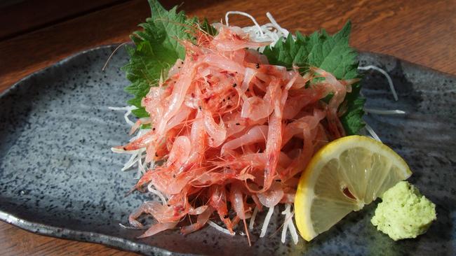 Cherry blossom shrimp in Shizuoka.