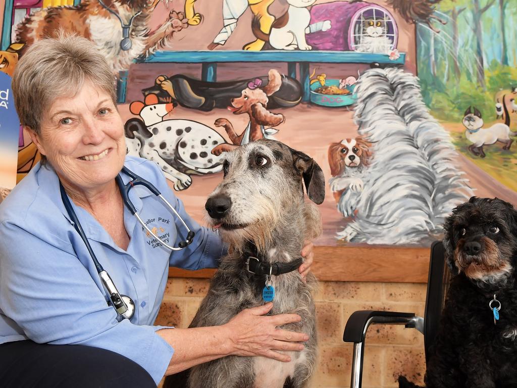 Chancellor Park Veterinary Clinic owner Annabel Shepherd opened their innovative 