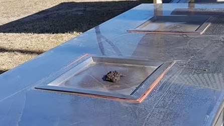 Calamvale Ward councillor Angela Owen is calling for information from the community after a disgusting deposit was left on a Brisbane City Council barbecue at Greenways Esplanade Park, Parkinson. Picture: Facebook