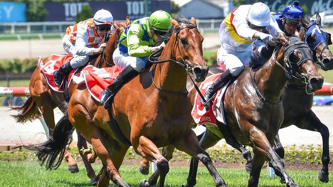 Rich Fortune will have her second spring run in Saturday’s Apache Cat Classic at Cranbourne. Picture: Racing Photos via Getty Images.