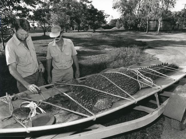 Crocodile Farm workers Nik Robinson and Peter Vanderlinden from the Conservation Commission inspect a captured crocodile.