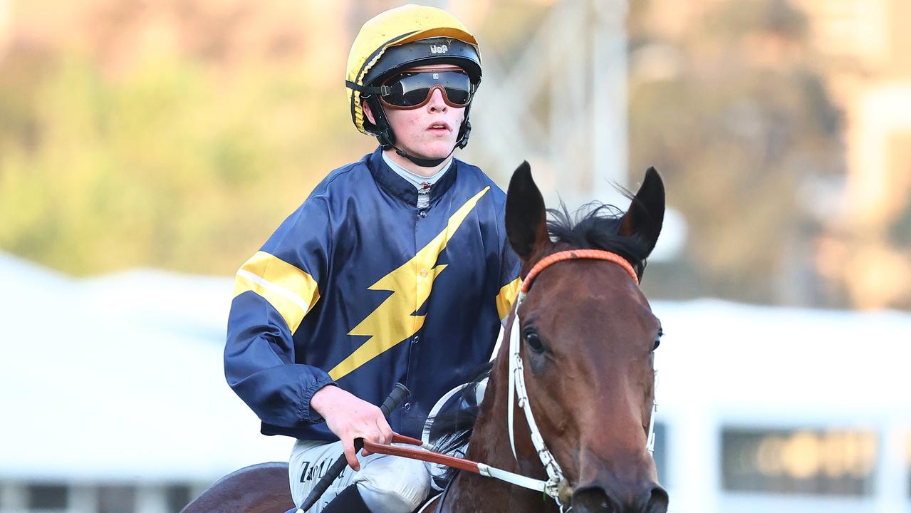 Zac Lloyd looks set for a good day at Kembla. Picture: Getty Images