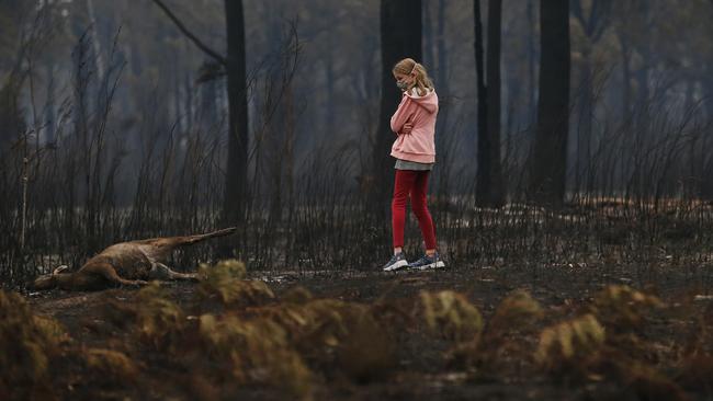 A young girl looks at the burnt body of dead kangaroo in Mallacoota. Picture: David Caird