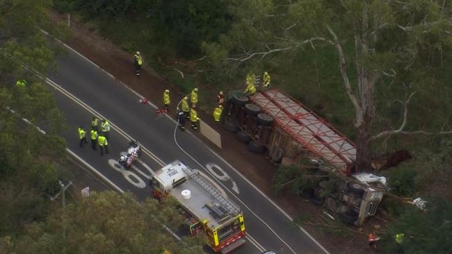 The truck was carrying cows when it crashed on Mulgoa Rd in Glenmore Park. Picture: Channel 7