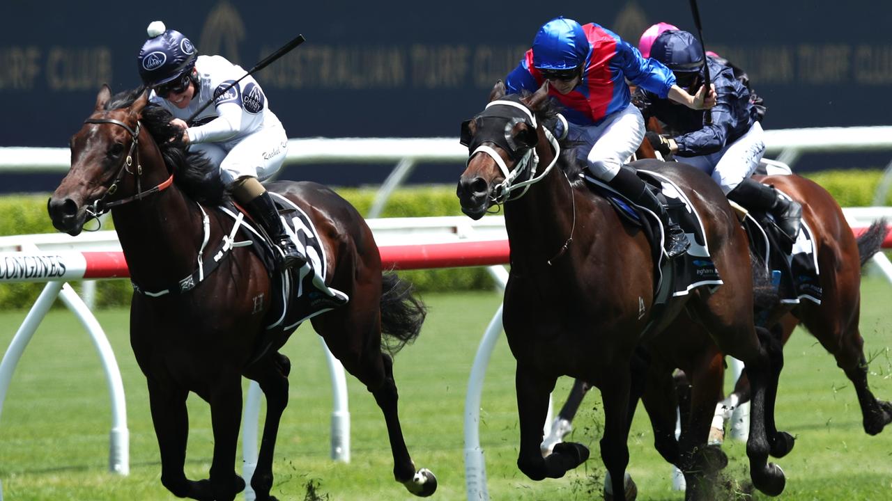 Iowna Merc has been backed to take out the final event at Randwick on Saturday. Picture: Getty Images