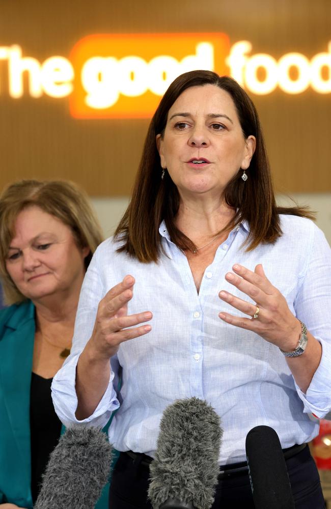 Deb Frecklington the Shadow Minister Water sidestepped questions about funding the $270 million Cressbrook Dam upgrade. Photo: Steve Pohlner