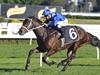 Winx to visit super stallion Snitzel later this year