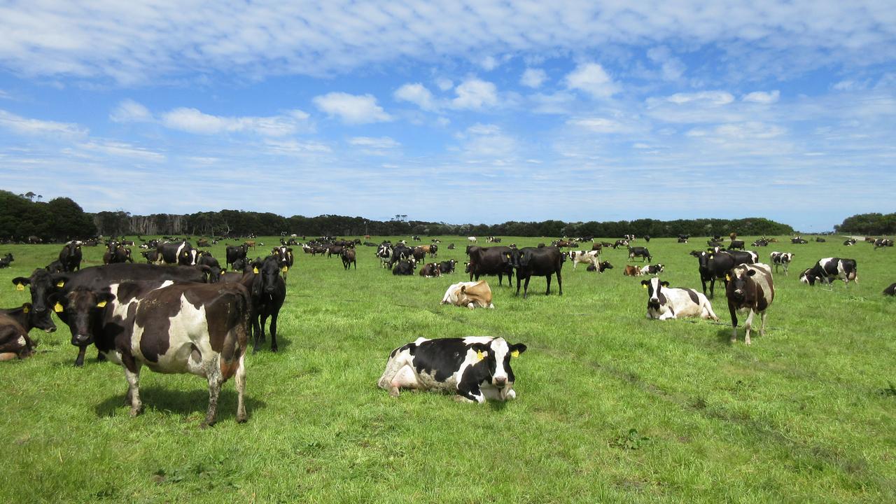 King Island has become well known for its association with cheese.