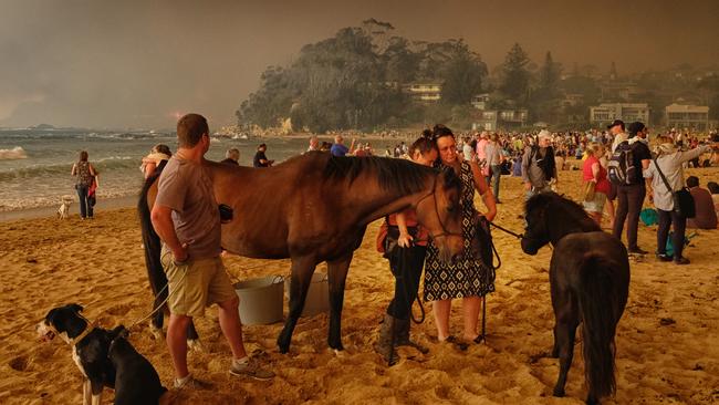 Locals seek refuge on the beach after bushfires take hold in Malua Bay. Picture: Alex Coppel.