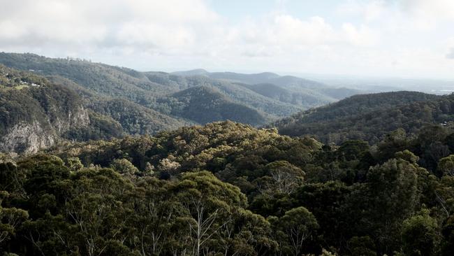 Mountain views from The Tamborine Boutique Hotel.