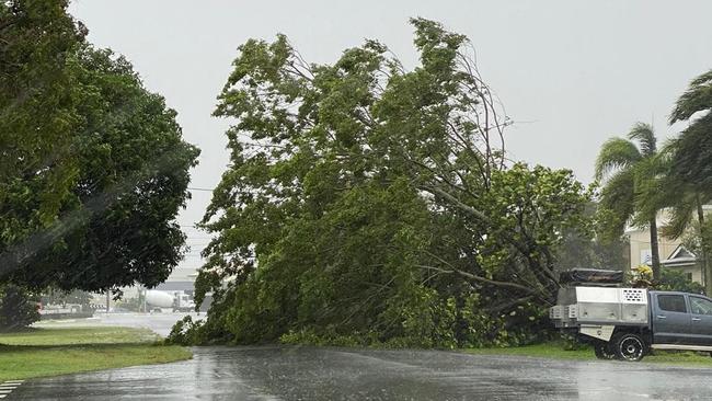 A large tree has fallen across the road in Earl St, Westcourt. PICTURE: SUPPLIED