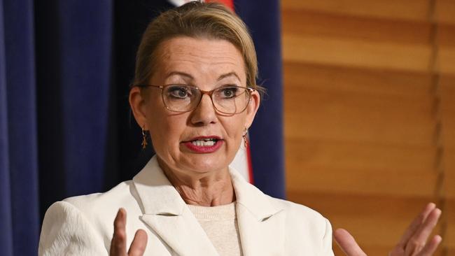 Leader of the Opposition Sussan Ley. Picture: NewsWire/Martin Ollman