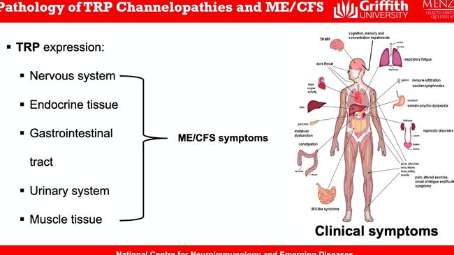 Graphic shows the ion channel responsible for chronic fatigue syndrome and how it affects almost every organ in the body. Image supplied