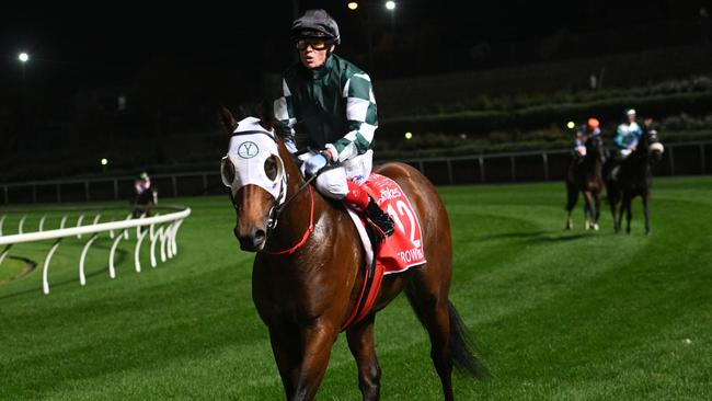 Growing Empire after finishing second in the Manikato Stakes Picture: Getty Images