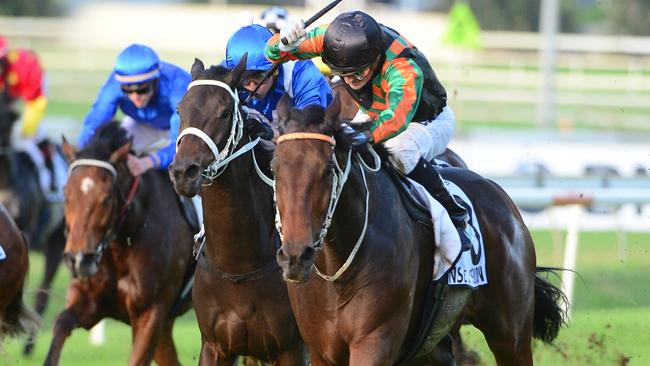 Sense Of Occasion looks well placed in the Hill Stakes. Picture: Grant Peters, Trackside Photography