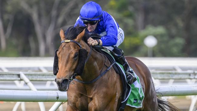 Enriched dashes clear under Jason Collett to win at Warwick Farm last week. Picture: Bradley Photos