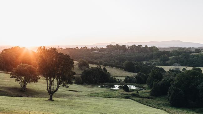 Peaceful views from The Brooklet of the Byron Bay hinterland.