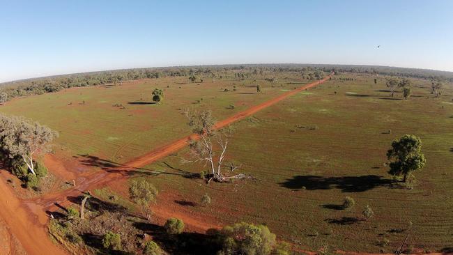 One school in Nyngan Public School should have seen 11 teachers pack up. Picture: Brian Harvey