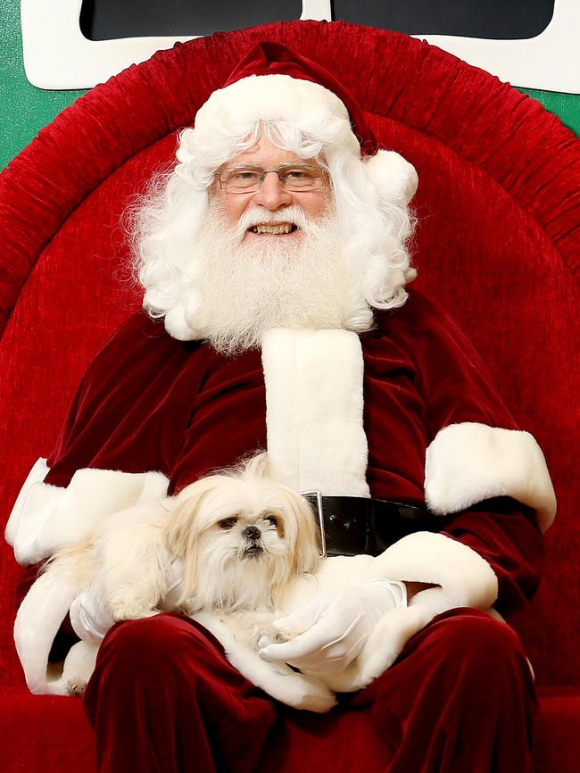 Get your pet photographed with Santa this Christmas.