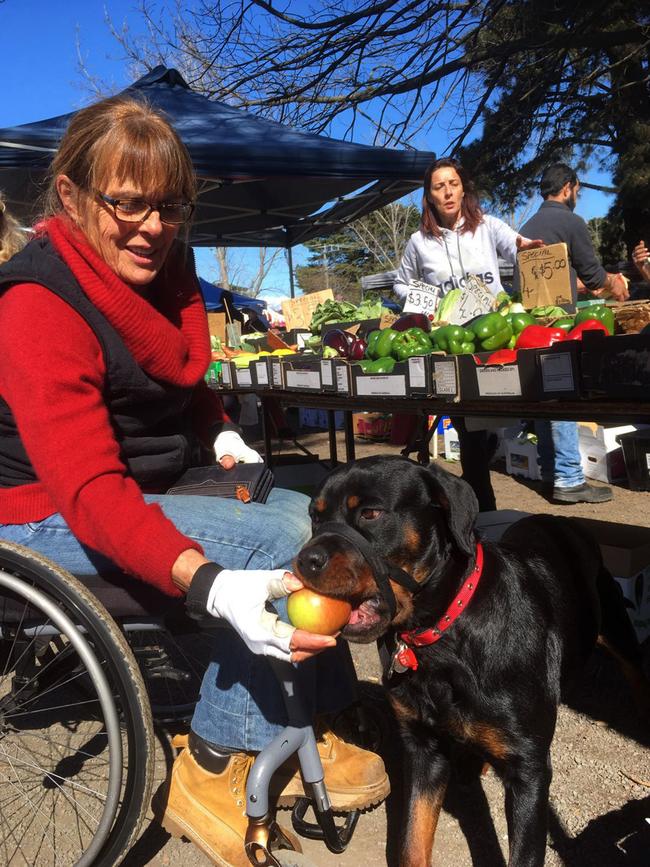 Day of Dogs 2018: Suzi Duncan and Simma at the market.