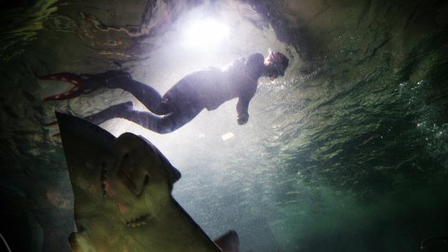 The Manly Sea Life Sanctuary closed on Sunday. Picture: AAP Image/Julian Andrews