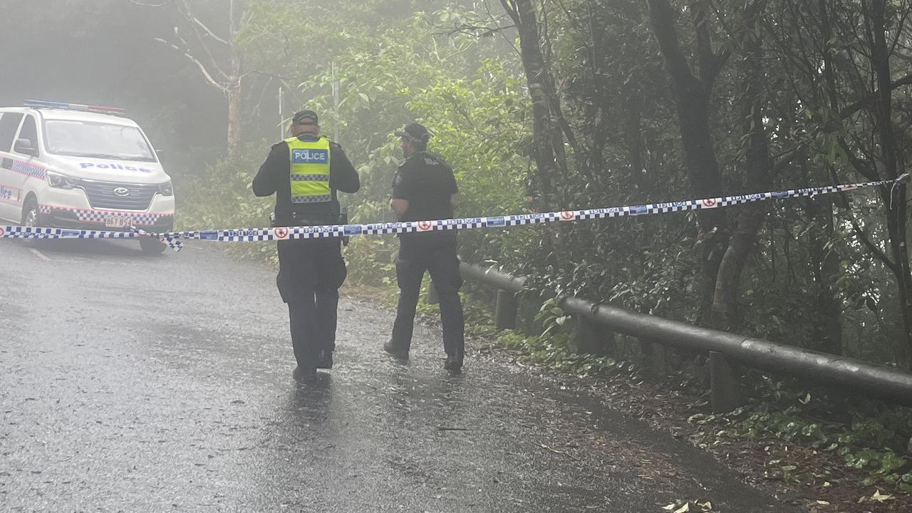 Police search remains after human skull found in Gold Coast hinterland