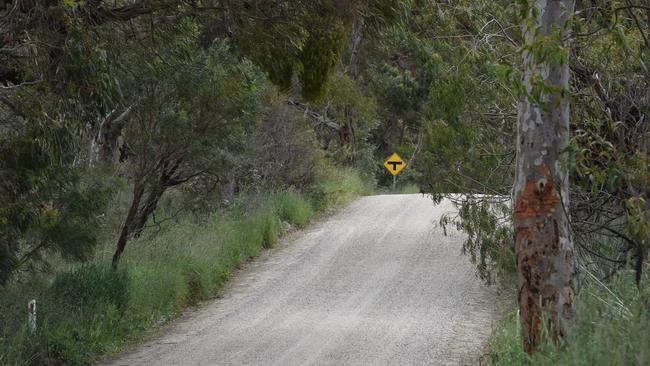 The tree struck by the ute on Trig Point Hill Road at Angaston. Picture, Jason Katsaras