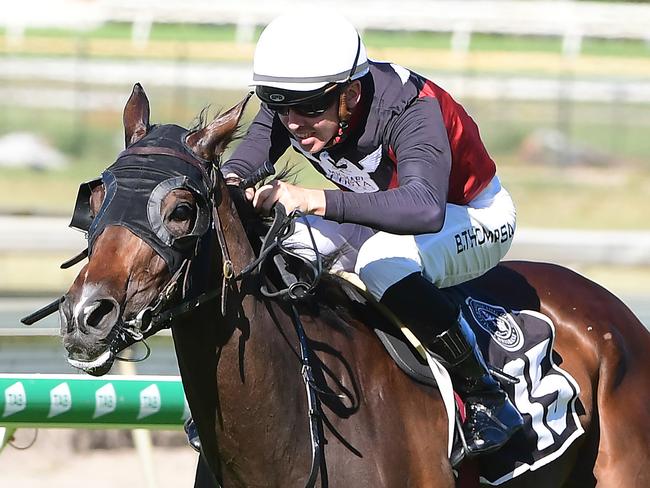 Purrfect Deal winning at Doomben. Picture: trackside Photography