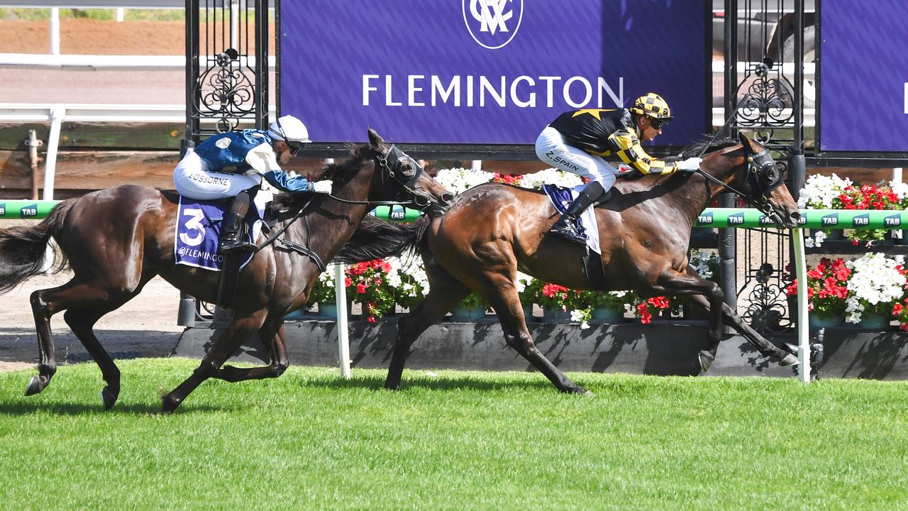 Grand Pierro winning the Bagot Handicap at Flemington on New Year’s Day. Picture: Pat Scala/Racing Photos