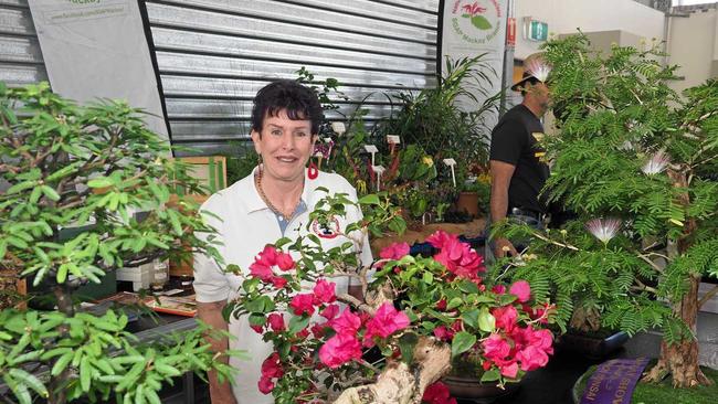 Walkerston resident and secretary of the Mackay Bonsai Society Violet Walsh with one of her 12 bonsai entries. Picture: Marty Strecker Photography