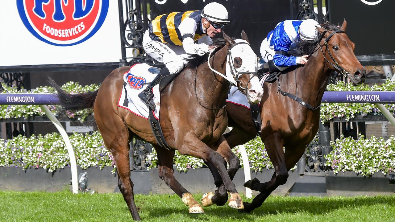 cox plate 2022 betting on sports