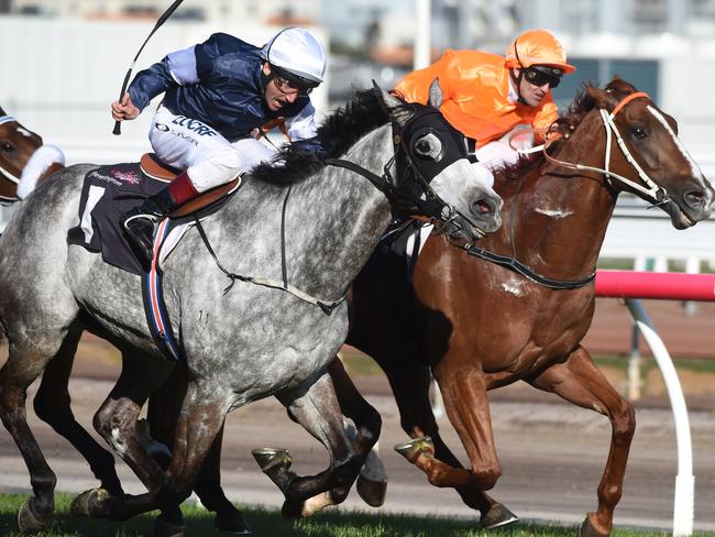 Rising Romance (right) and Fawkner fight out the Makybe Diva Stakes last year. Picture: Tony Gough.