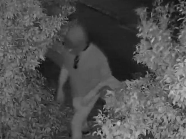 A mystery man has been caught on camera defecating on side strips and in front of homes. Photo: Facebook/supplied.