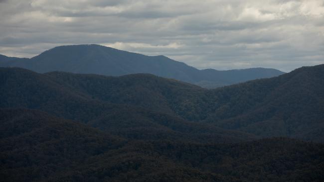 Shallow Crossing State Forest as seen from Mogood lookout, 30 minutes drive west of East Lynne. Picture: Nathan Schmidt