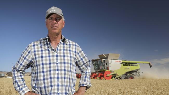 Grain Producers SA vice-chairman Adrian McCabe, in a wheat field near Tarlee, says Labor must support ending the ban on GM crops. Picture: Dean Martin/AAP