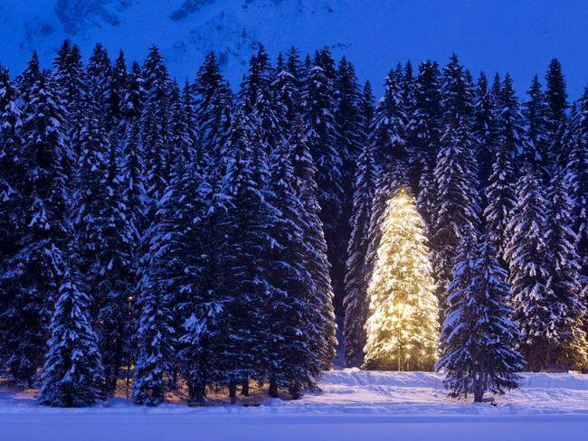 A tree decorated with festive lights glows at dusk, near Arosa, Switzerland.