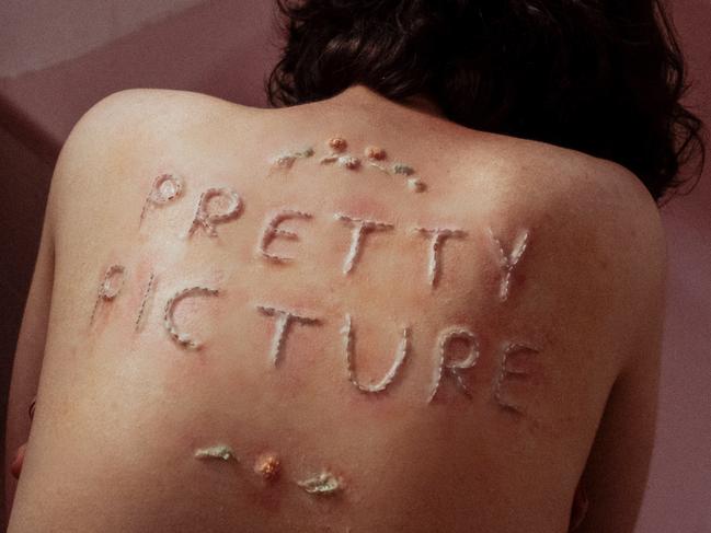 The cover art for ‘Pretty Picture’. Picture: Supplied