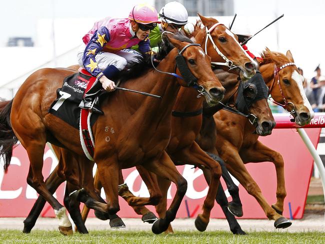 De Little Engine wins on Melbourne Cup Day last year. Picture: Colleen Petch