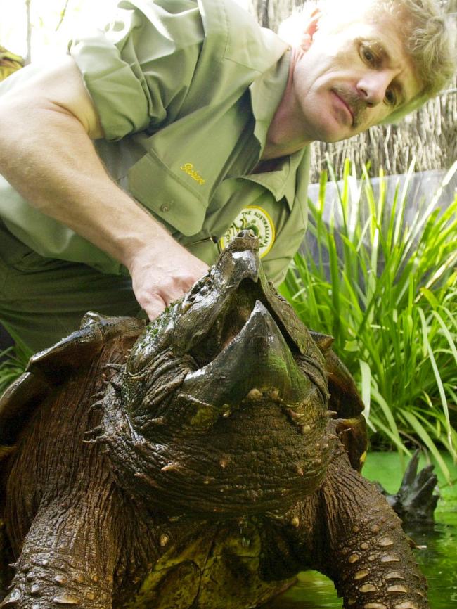 Park manager Rob Porter with Leonardo. Picture: AAP PHOTO/Dean Lewins