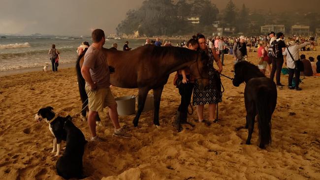 After bushfire evacuations and Covid lockdowns, the upcoming summer could be one of the busiest yet for south coast lifesavers.