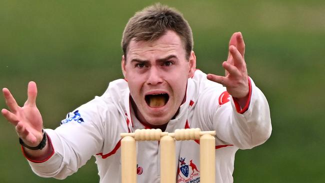 Port MelbourneÃs Ryan McDonald appeals during the VSDCA Port Melbourne v Brighton cricket match in Port Melbourne, Saturday, Oct. 21, 2023. Picture: Andy Brownbill