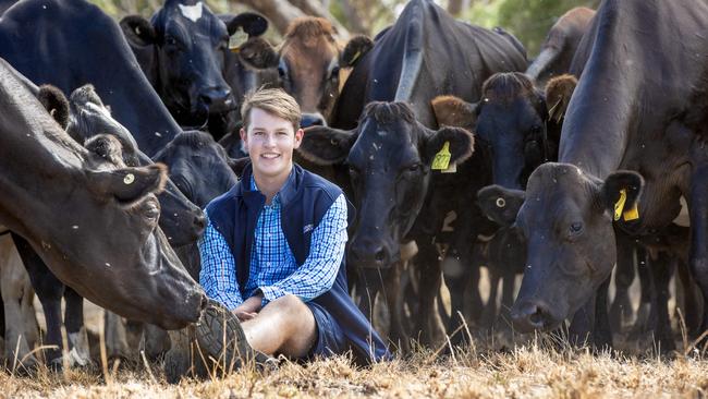 Tom Hooper has worked in dairy for two years and started his own herd at Nar Nar Goon North, with 16 dairy calves to build his own dairy.
