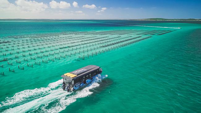 Take a tour of Coffin Bay in South Australia.