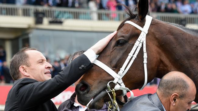 Chris Waller and Winx at Moonee Valley.