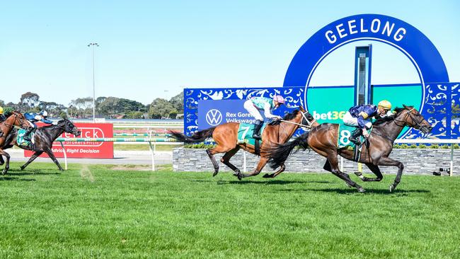 Emissary (GB) ridden by Blake Shinn wins the bet365 Geelong Cup. Picture: Brett Holburt /Racing Photos via Getty Images