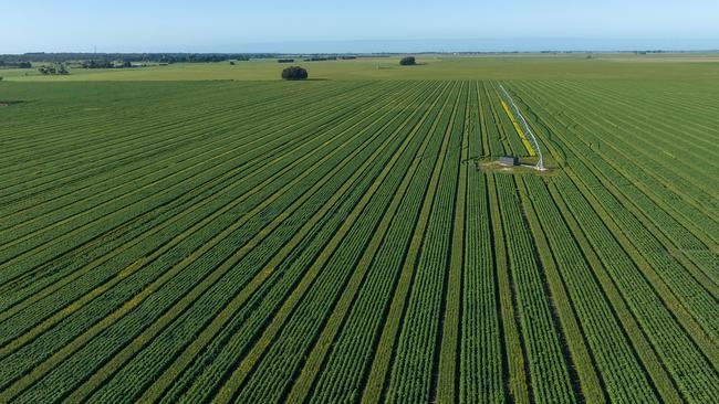 Cropping cereal, beans and canola is undertaken by the Porter family at Childerley Park.