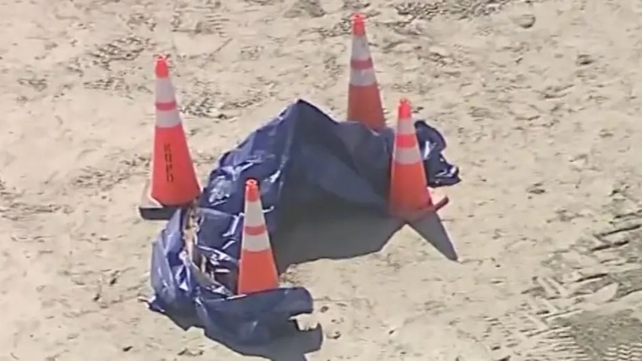 Police set up a blue tarp and orange traffic cones around the recovered head. Picture: NBC