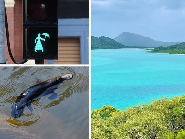 Road trip: Must-stop gems from Cairns to Sydney