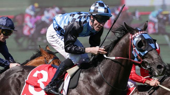 Ringerdingding has come back in good order for the autumn. Picture: AAP